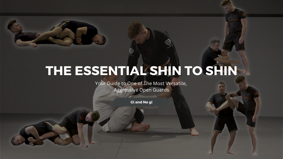 Essential Shin to Shin
