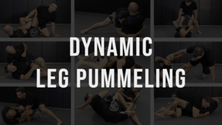 Dynamic Leg Pummeling